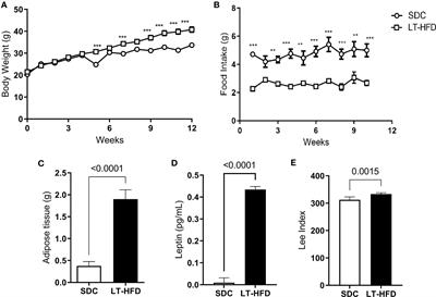 A high-fat diet protects C57BL/6 mice from Plasmodium berghei ANKA infection in an experimental malaria study